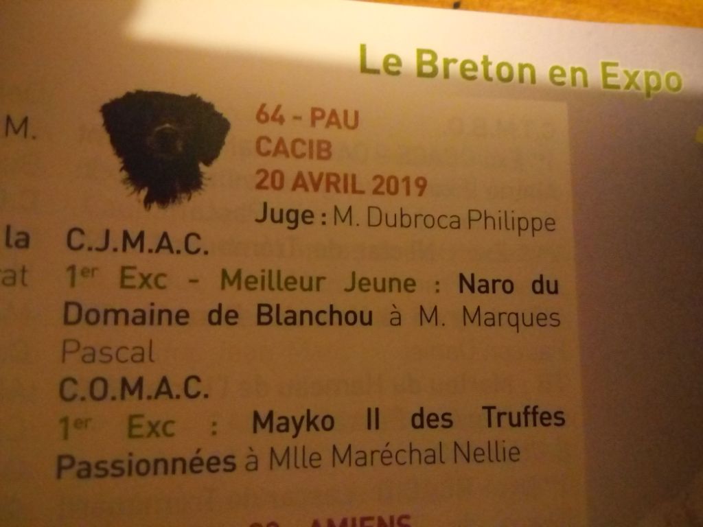NARO expo de PAU 64  20 avril 2019